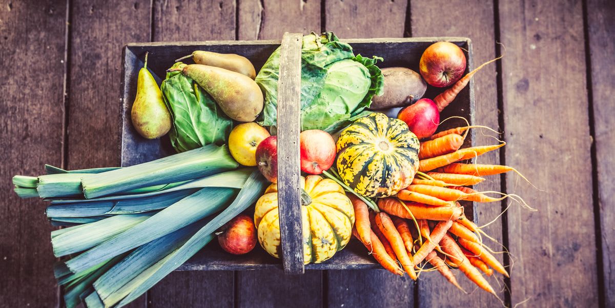 A Quick Guide to Cooking (Almost) Every Kind of Fall Fruit and Vegetable