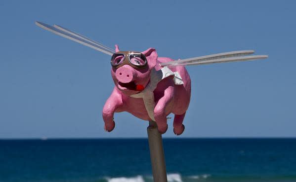 Pigs Fly In Their Lucid Dreams