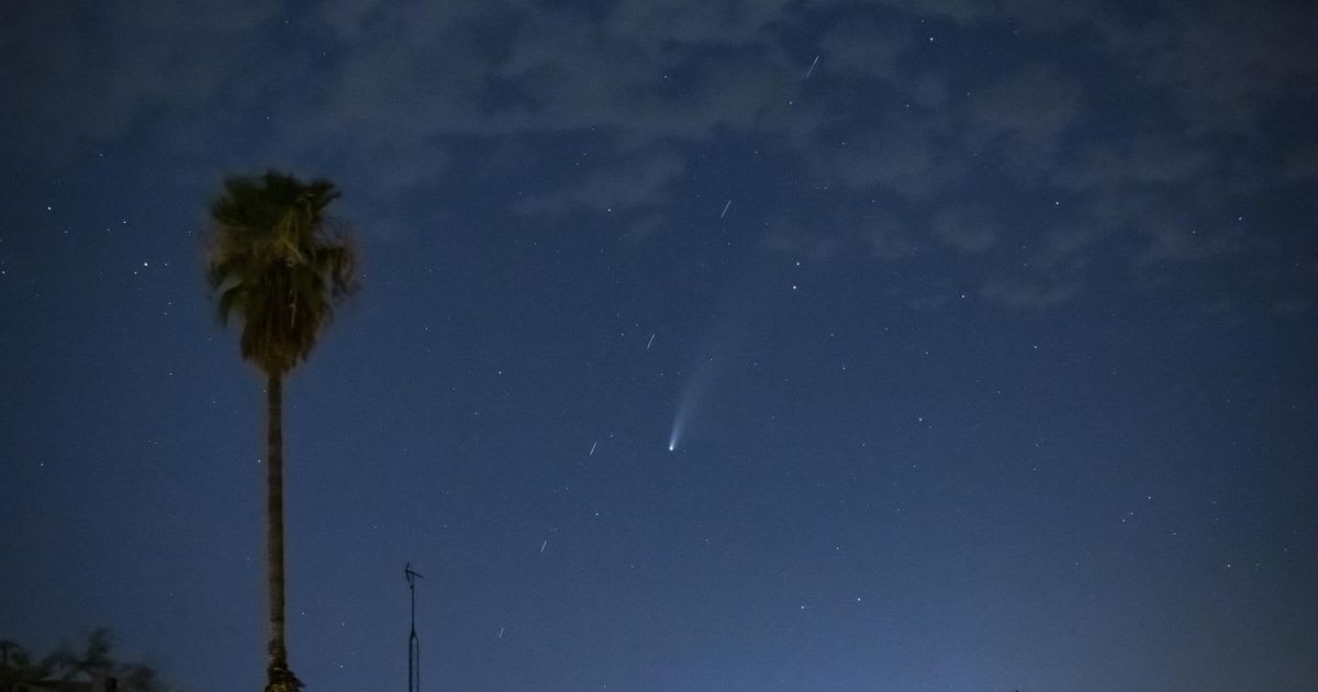 SpaceX Starlink satellites are photo-bombing shots of Comet Neowise around the world