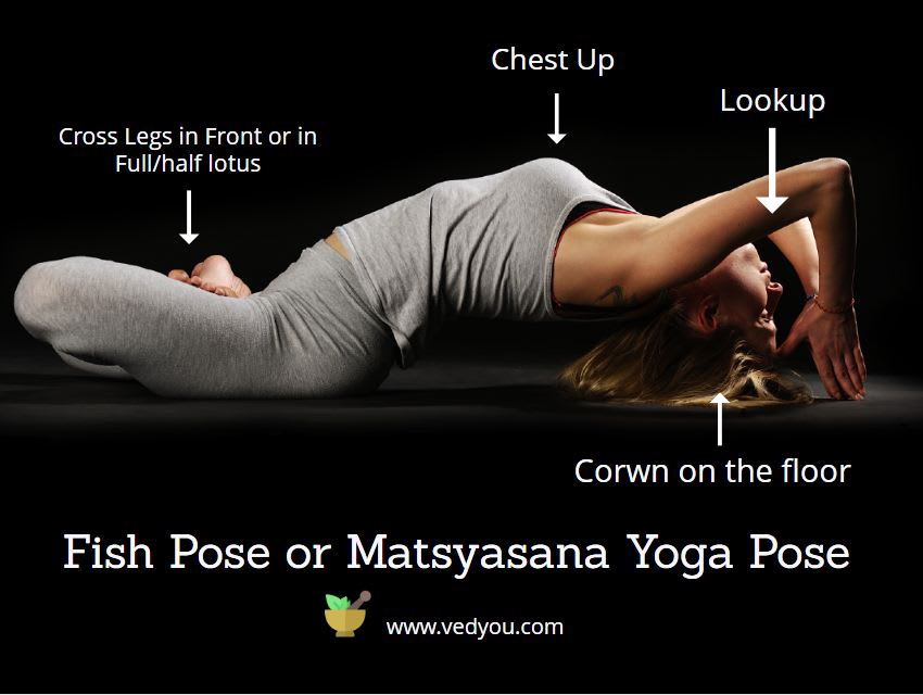 How to do Fish Pose or Matsyasana Yoga Pose, Benefits, Precautions