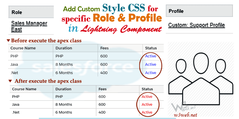 Adding a Custom Style CSS for Specific Role & Profile in Salesforce