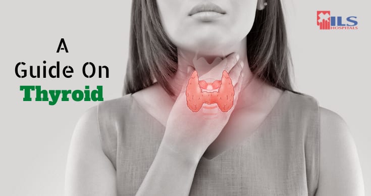 Your Complete Guide On Thyroid