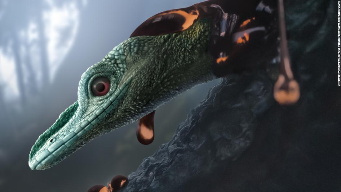 World's smallest dinosaur is actually a 'weird' prehistoric lizard, scientists say