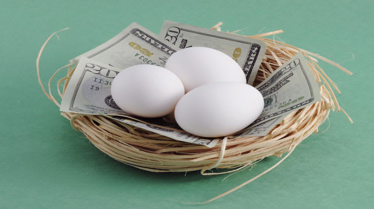 How Investment Diversification Will Make You Rich