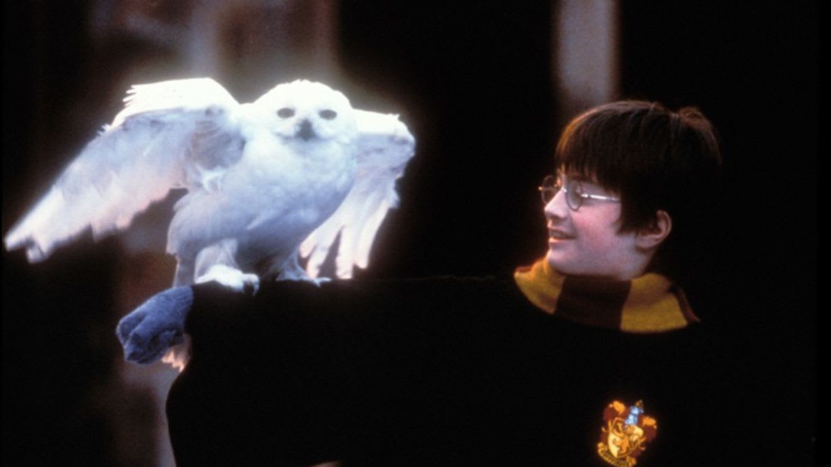 HBO Max conjures streaming rights to all 8 Harry Potter films
