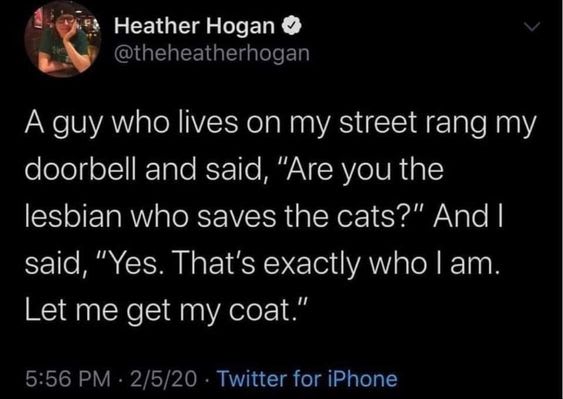 lesbian who saves cats may be one of the coolest things ive heard