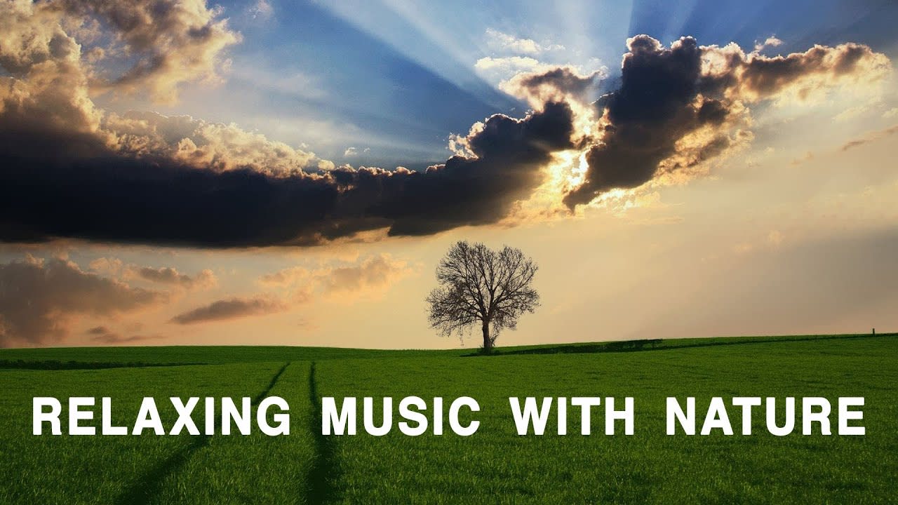 Relaxing Music With Nature - Calm Music, Peaceful Music, Meditation, Yoga, Stress Relief, Freshness.