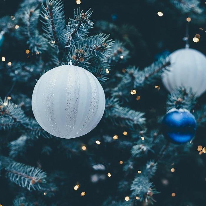 5 Chronic Illness Resources To Support You Through The Festive Season - Bladder Help