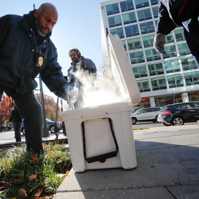 'They Can Be Like Geniuses.' How Washington D.C. Is Handling a Literal Rat Infestation