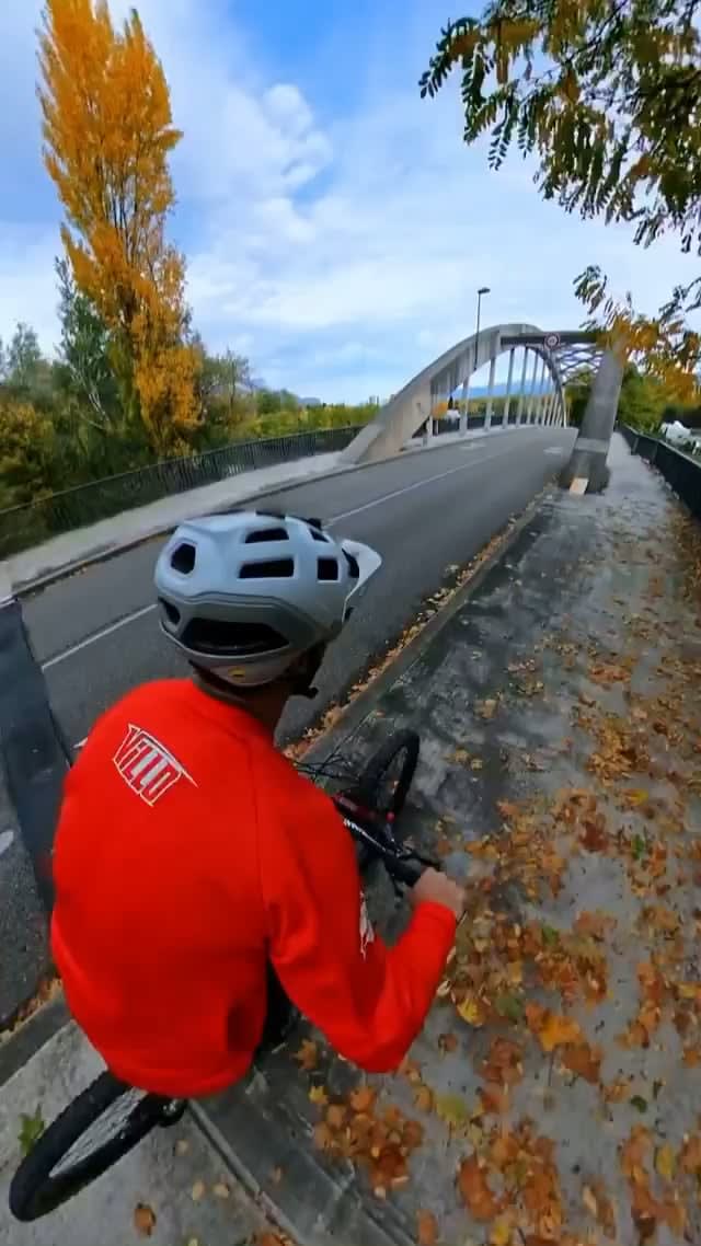 Bridge Biker