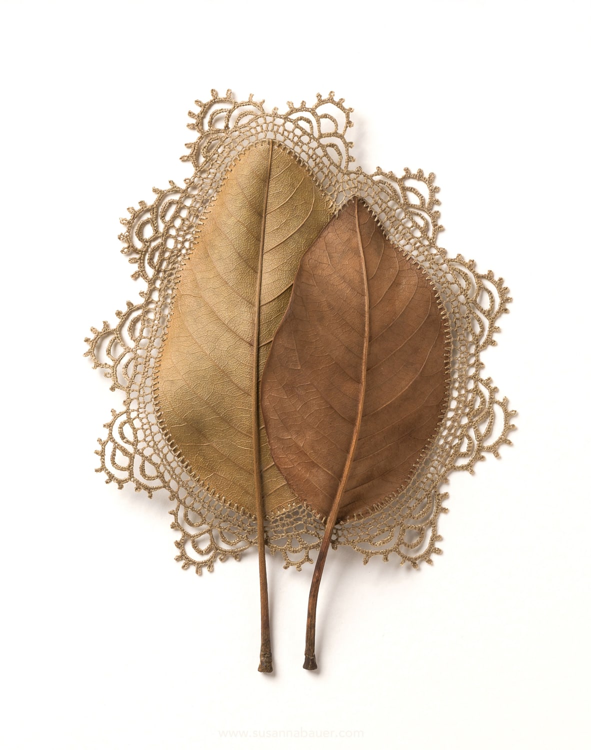 Found Leaves with Delicate Crochet Embellishments by Susanna Bauer — Colossal