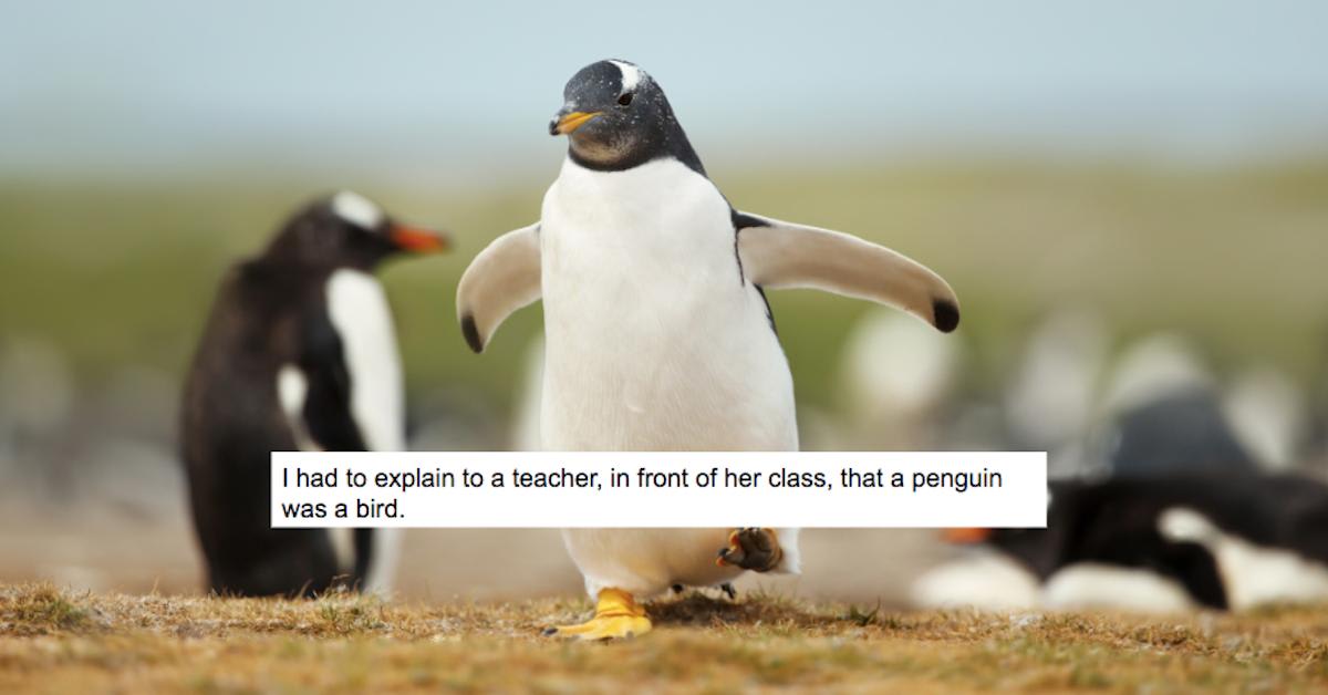 20 People Share Things They Can't Believe They Had to Explain to Another Adult
