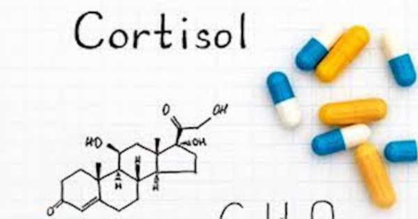 Cortisol - The Real Stress Hormone