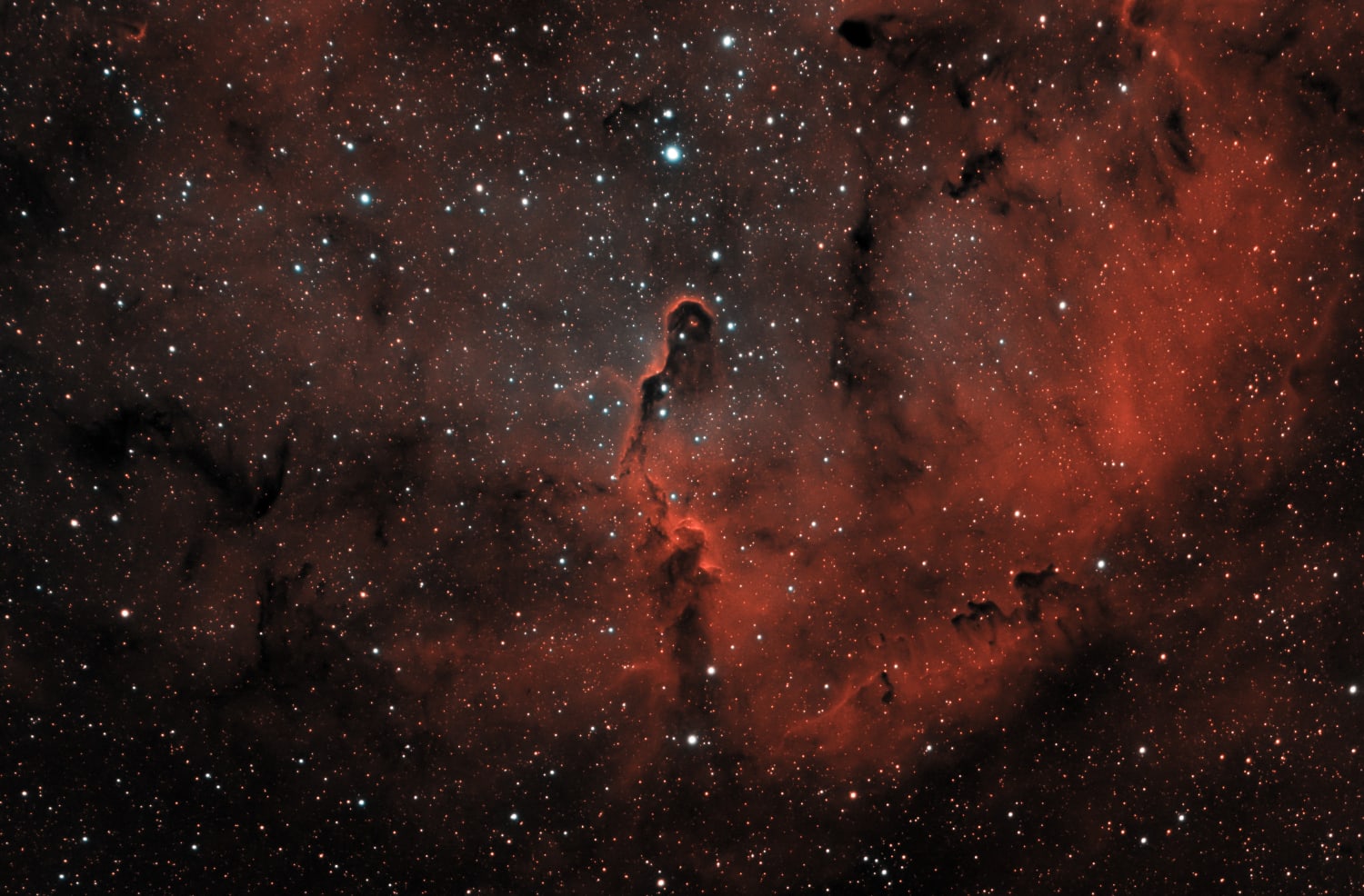 IC1396 Elephant's Trunk HOO