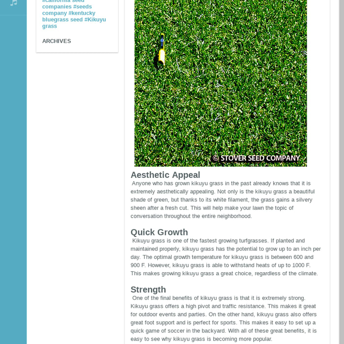 4 Reasons to Choose Kikuyu Grass For Your Garden or Backyard - Blog View