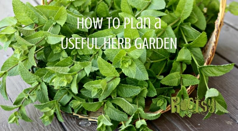 How to Plan a Useful Herb Garden
