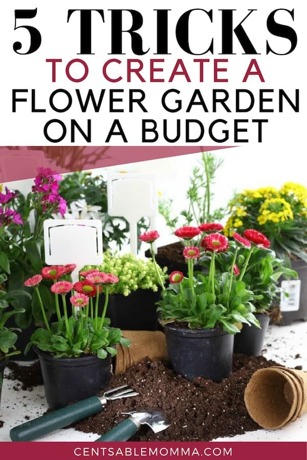 How to Create a Flower Garden on a Budget