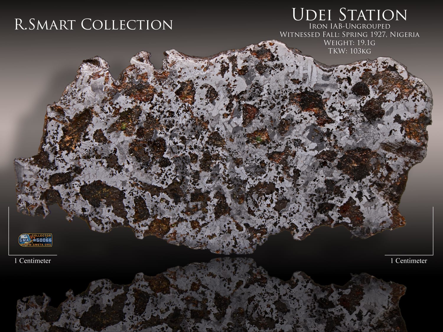 A bit different Space Porn. Here is one of my slices of the "Udei Station" meteorite, a witnessed fall over Nigeria in Spring of 1927. A beautifully silicated iron meteorite, classified as Iron IAB-Ungrouped. Hi-Res, Zoom in!
