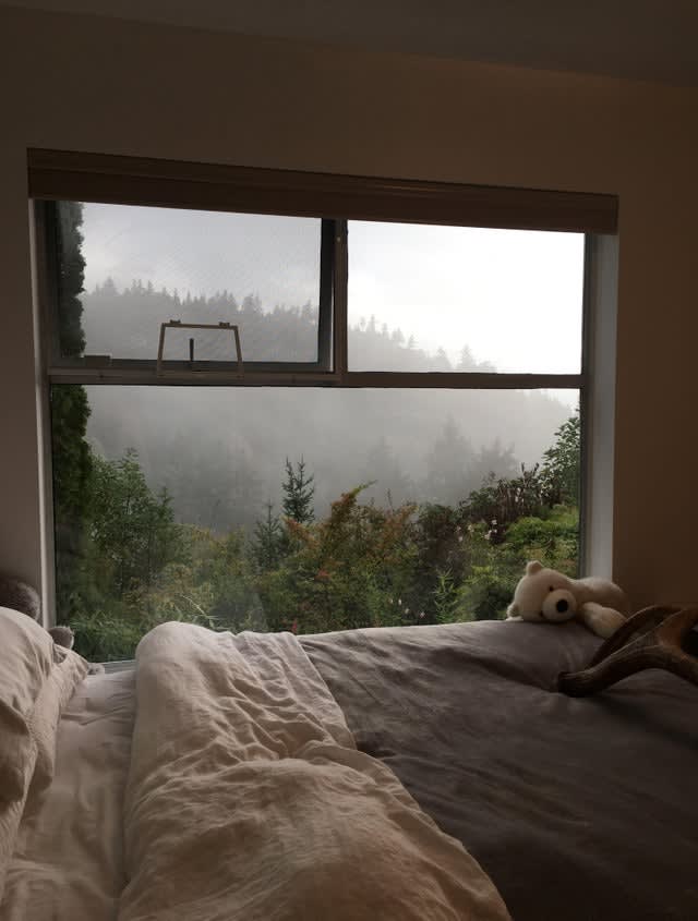 Room With A View In Vancouver, Canada