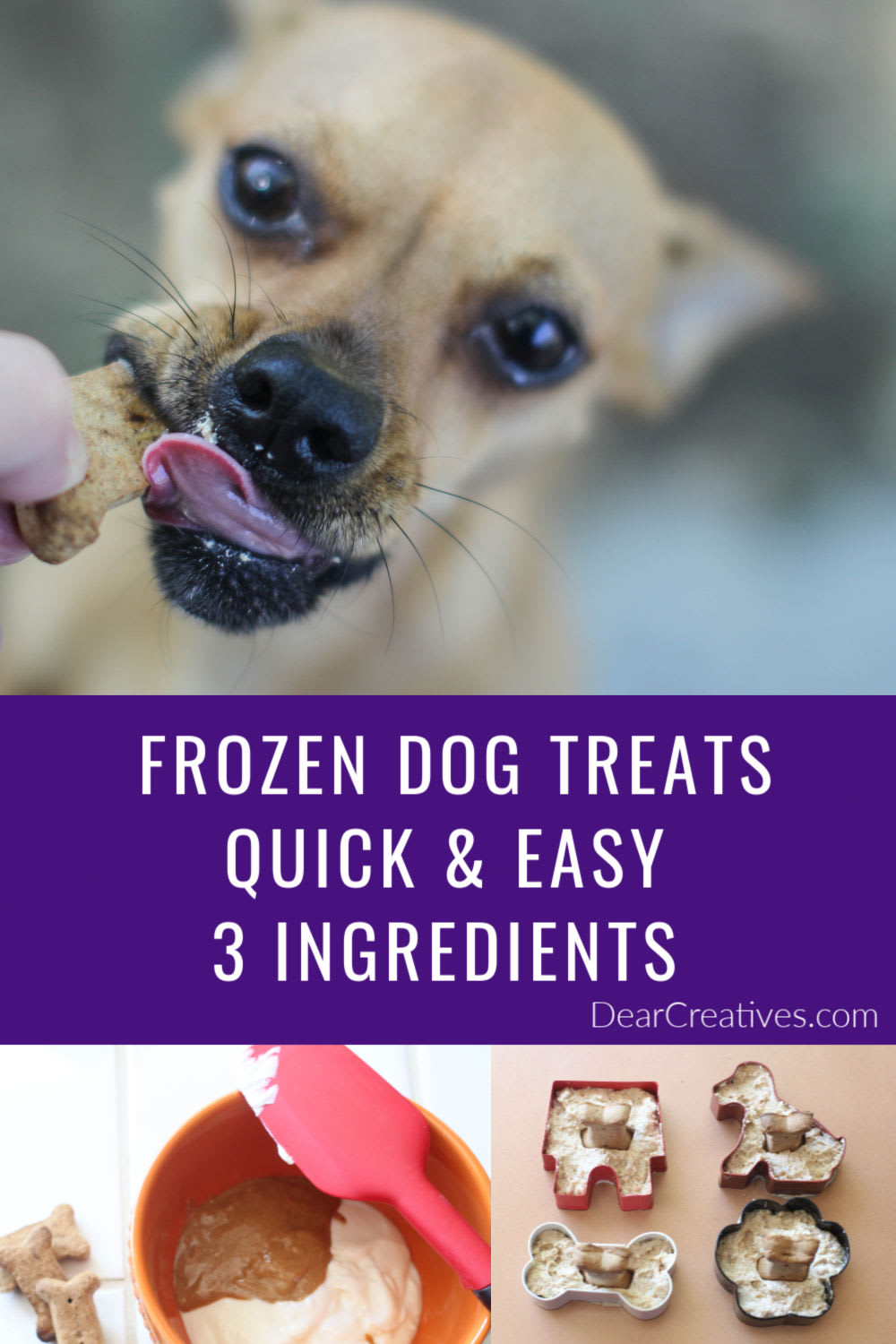 Frozen Dog Treats - Quick And Easy To Make!