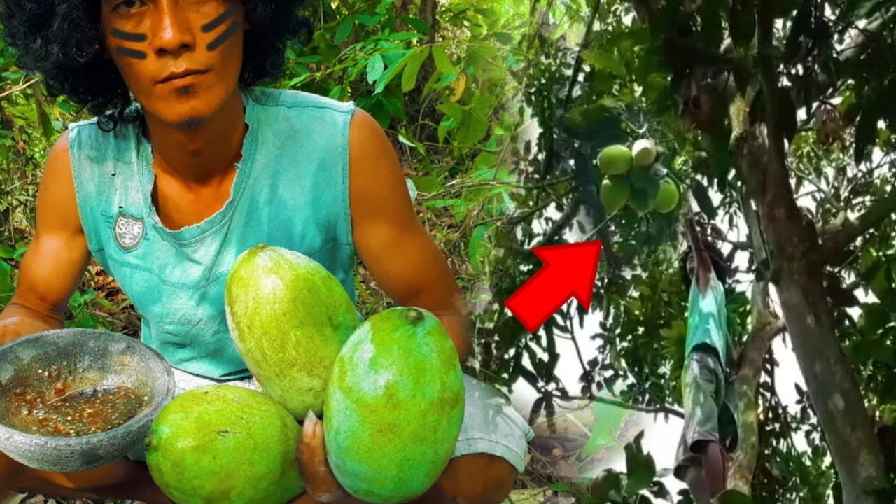 Survival skills/ Find & meet natural mango for food - Delicious green mangoes with hot chili sauce