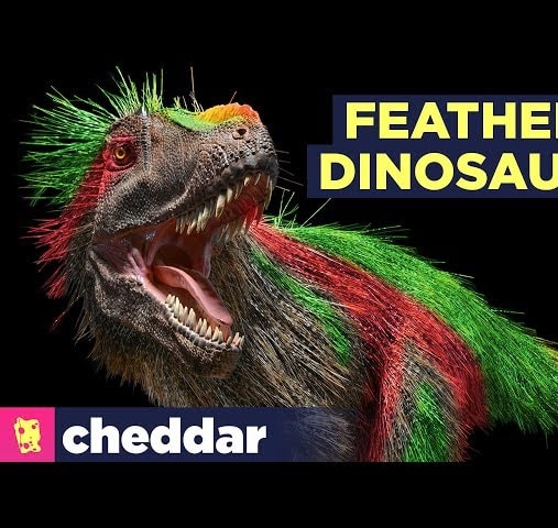 Dinosaurs Were Probably Feathered, Bright...and Beautiful - Cheddar Explores