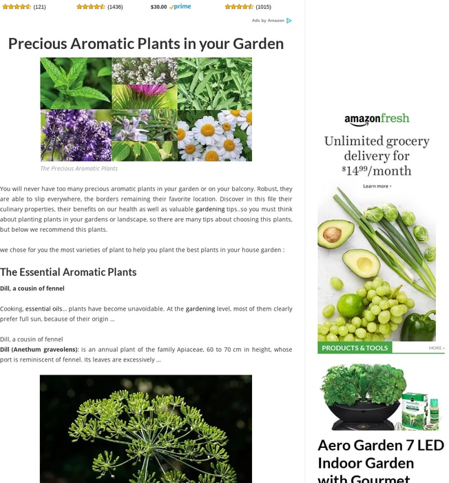 Precious Aromatic Plants in your Garden
