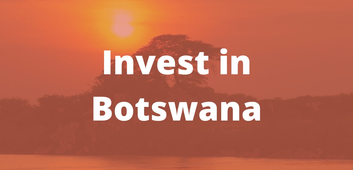 Profitable Business Industries Ideas to Invest in Botswana