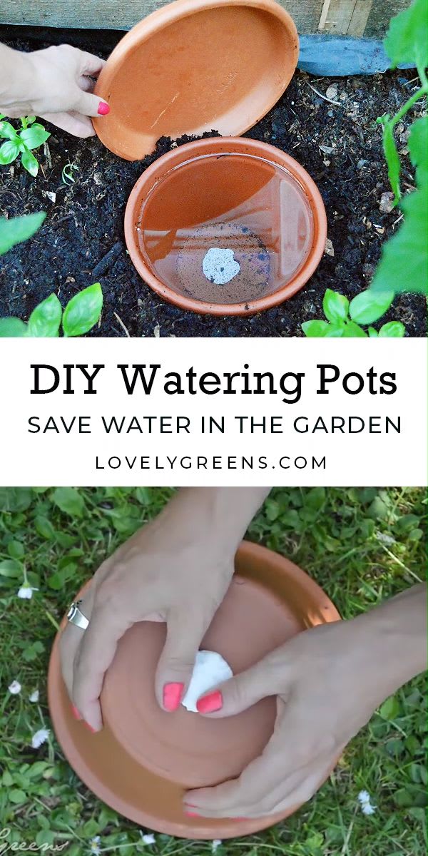 Save water in the garden with DIY Watering Pots