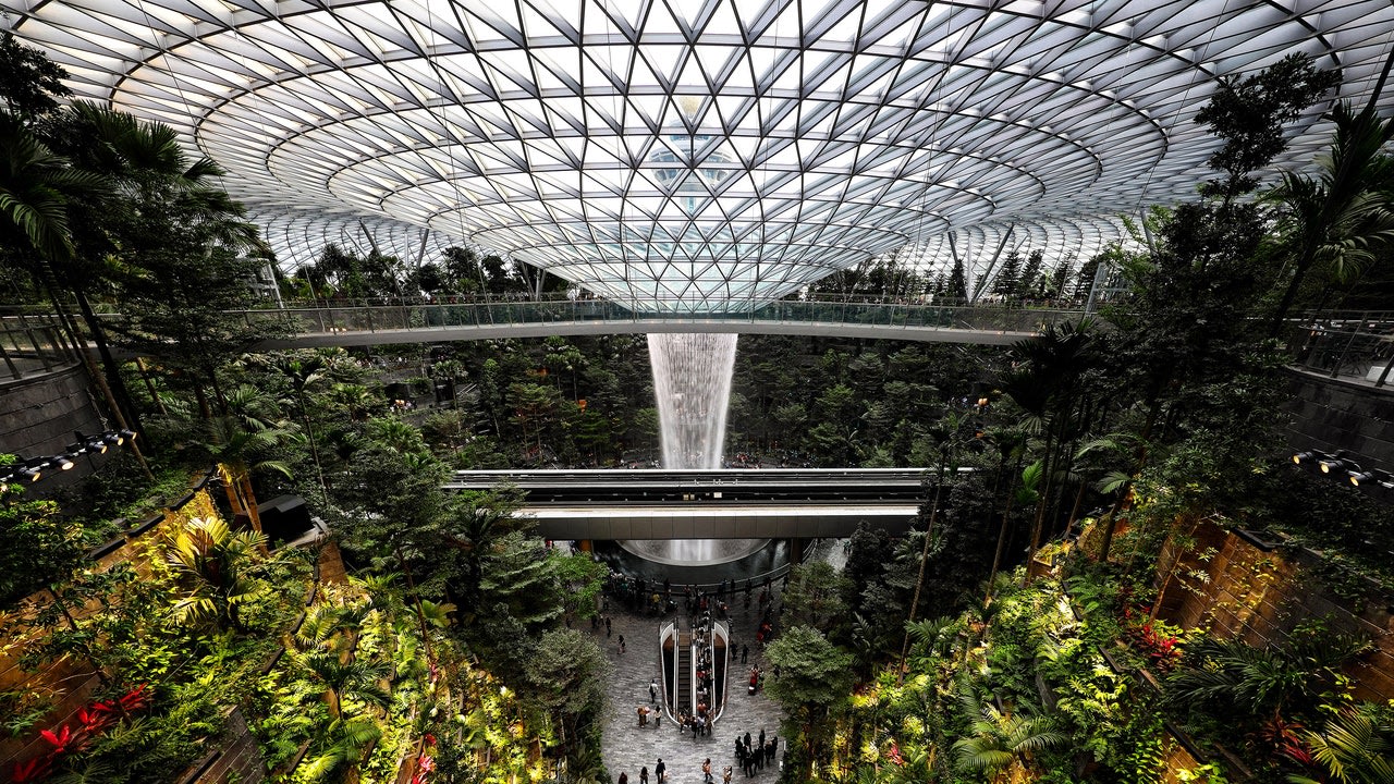 Breathing Space: biophilic architecture