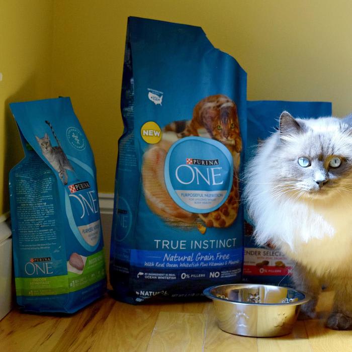 7 Easy Ways to Save at Target + Great Deals on Purina ONE Pet Food