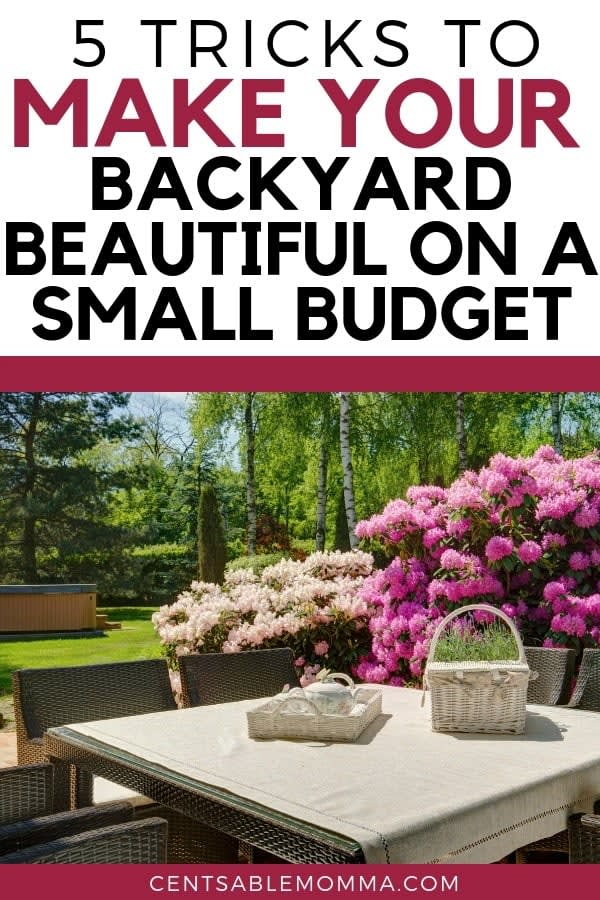 5 Tricks to Make Your Backyard Beautiful on a Small Budget