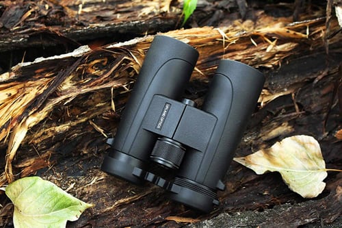 9 Best Binoculars Under $300: Reviews & Buying Guide
