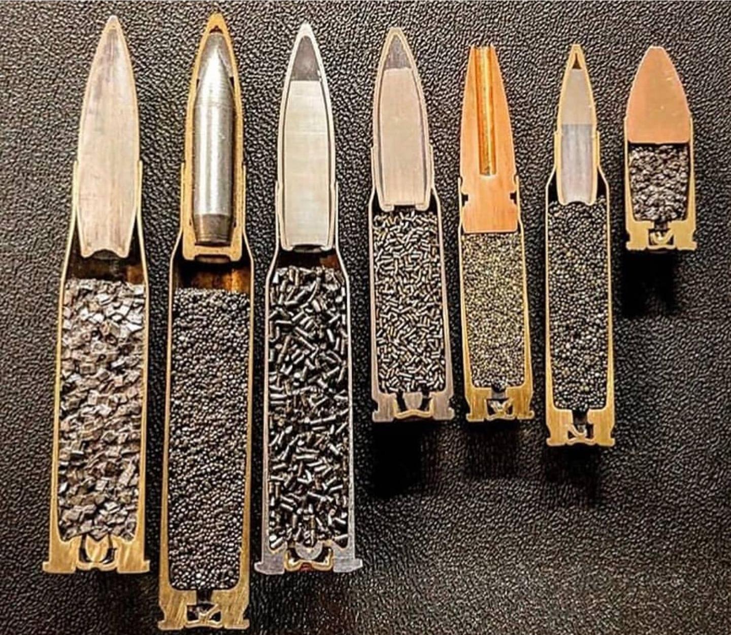 Different calibered bullets cut in half.