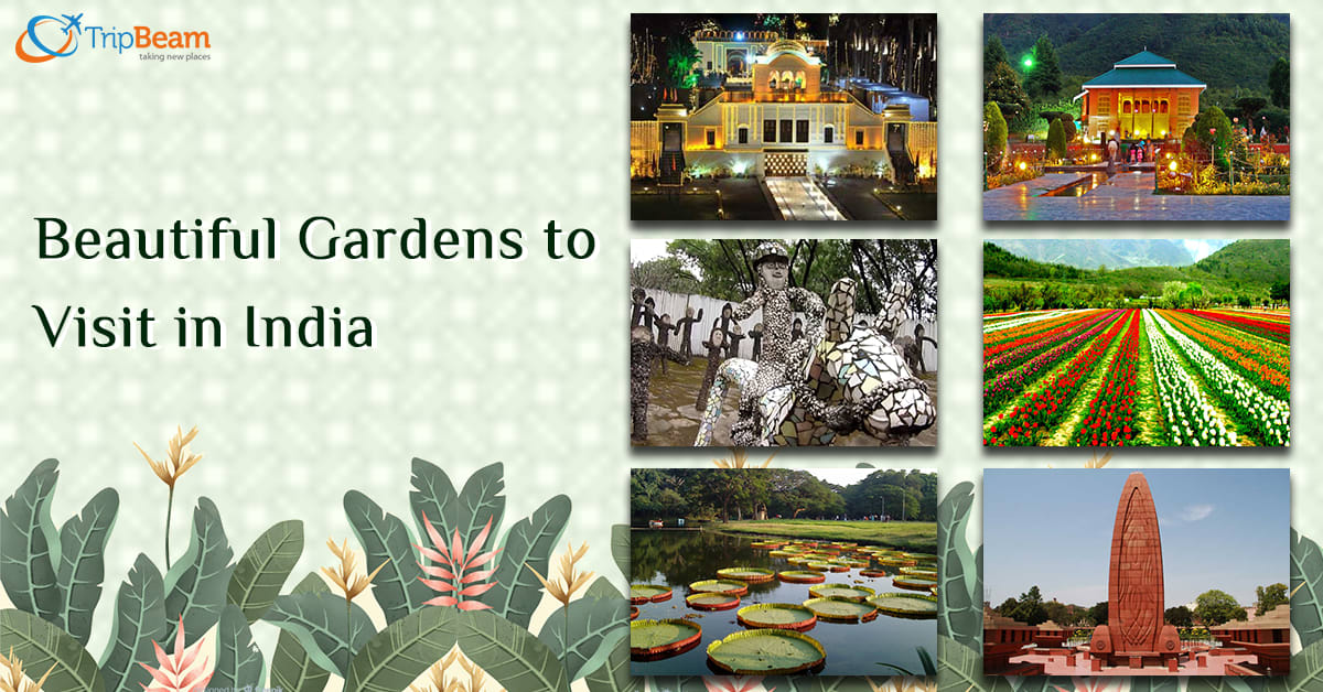 7 Most Beautiful Gardens for Your Next Visit to India