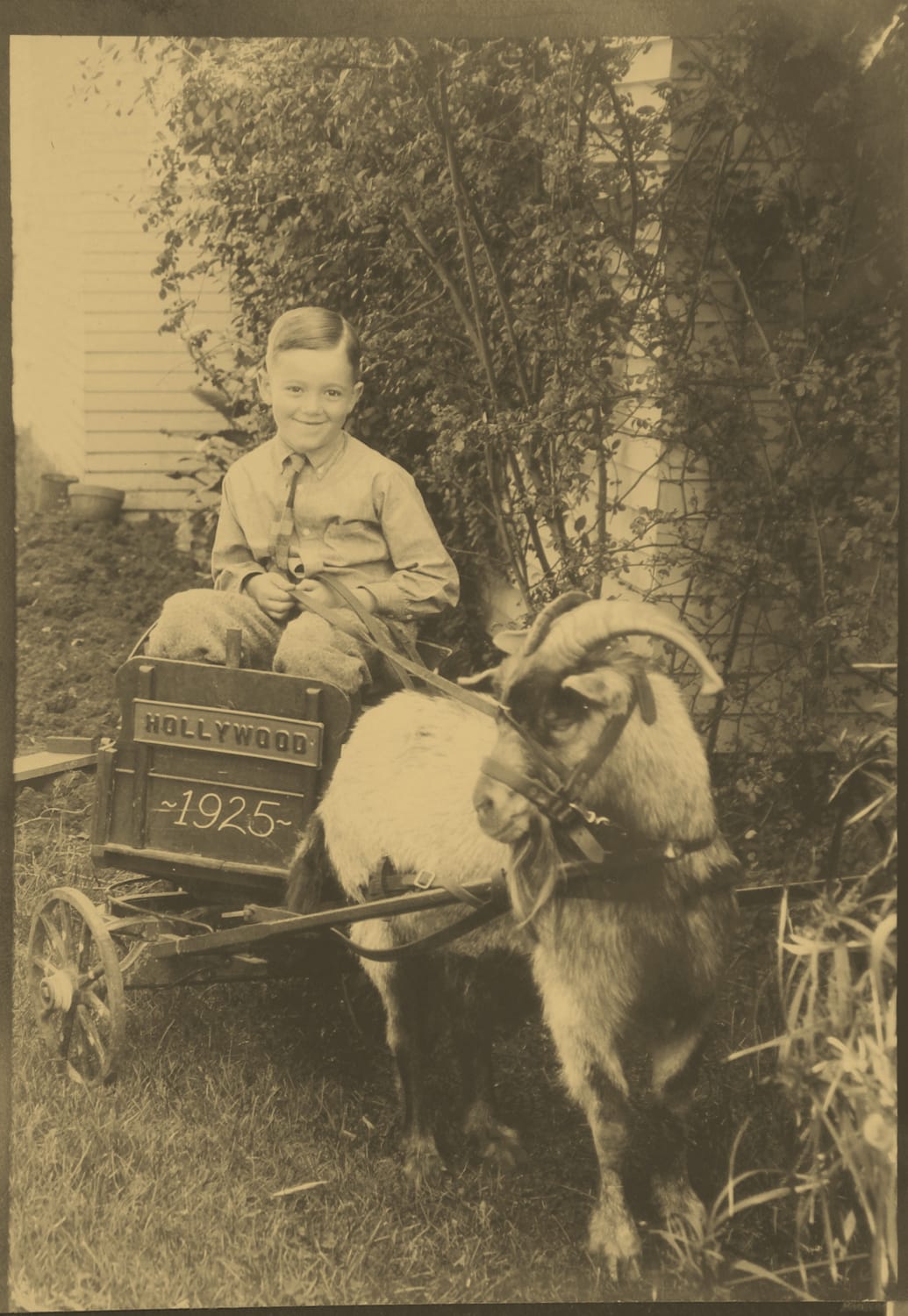 Ponies are out. Goats are in. Here's my dad in a goat cart. 1925