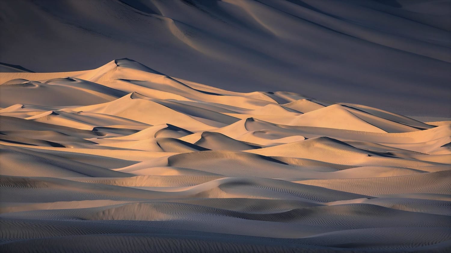 Desert by Alex Noriega