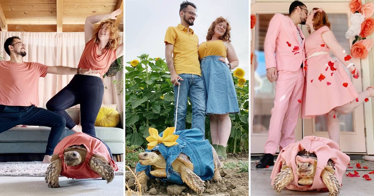 California Couple Coordinate Their Outfits With Their Pet Tortoise