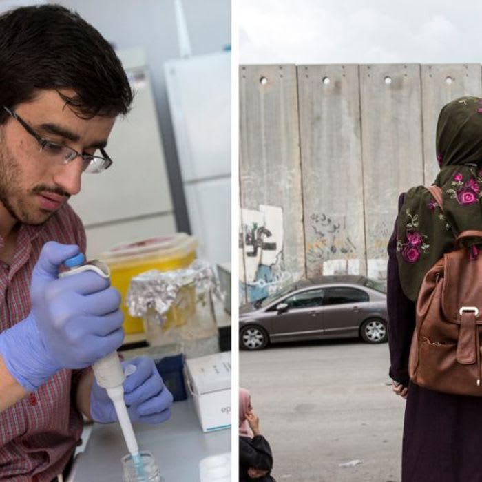 In the Palestinian territories, science struggles against all odds