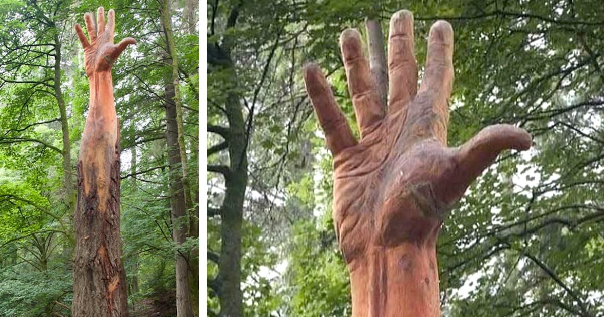 Artist Uses a Chainsaw to Transform a Damaged Tree Into a Giant Hand Reaching Towards the Sky