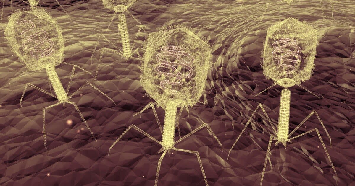 Trained viruses wipe out bacterial infections by anticipating evolution