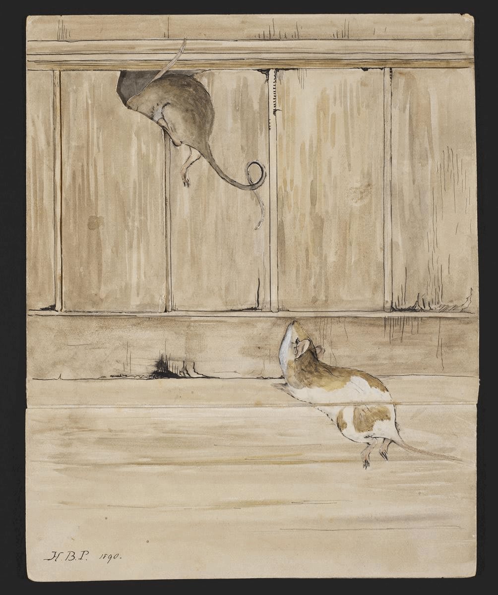 Ever wondered what that scratching sound could be behind your wall? Answer: mice having a dinner party, of course! Book to see our exhibition Beatrix Potter: Drawn to Nature -