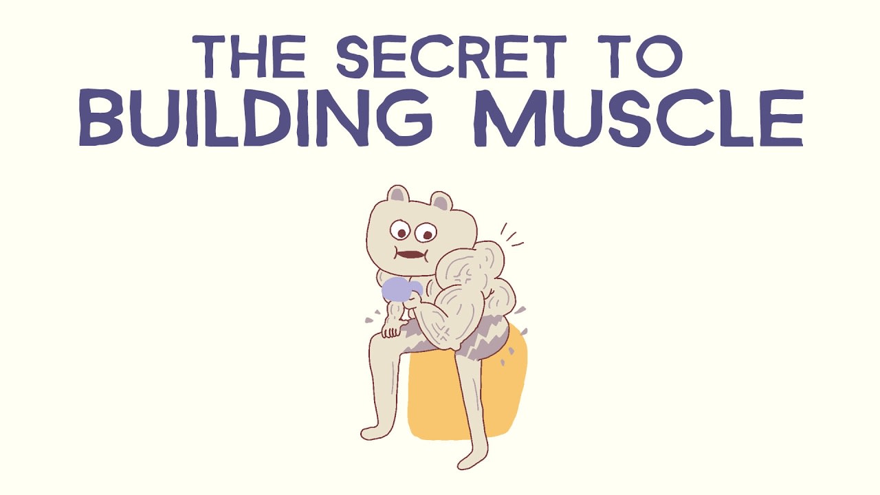 The Secrets To Building Muscle