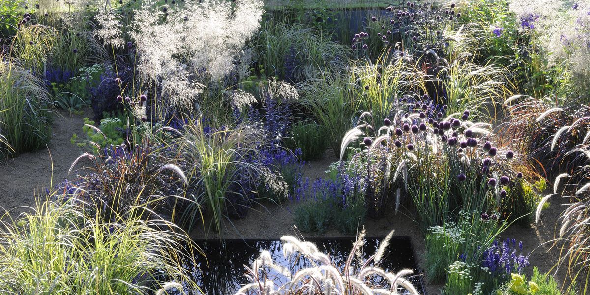 Revamping your outdoor space? Take inspiration from 4 of the hottest new garden designers to know