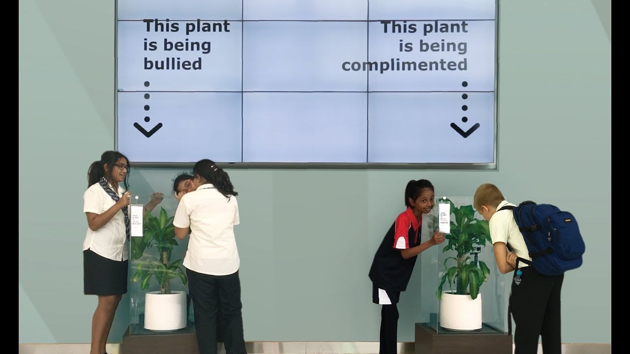 Bully A Plant: Say No To Bullying