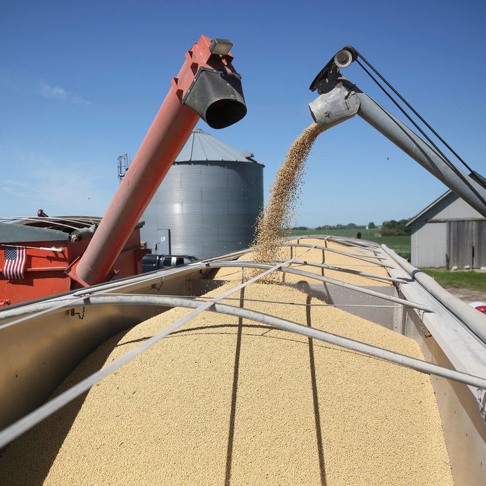 China bought 500,000 tons of U.S. soybeans. But that's just a drop in the U.S. export bucket