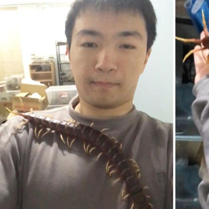 Brave man lets venomous pet centipede crawl all over him