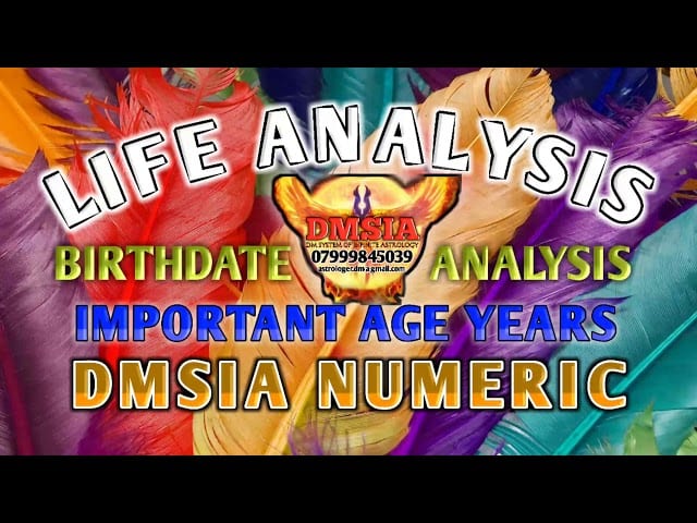 Numeric Analysis for Life DM Numeric