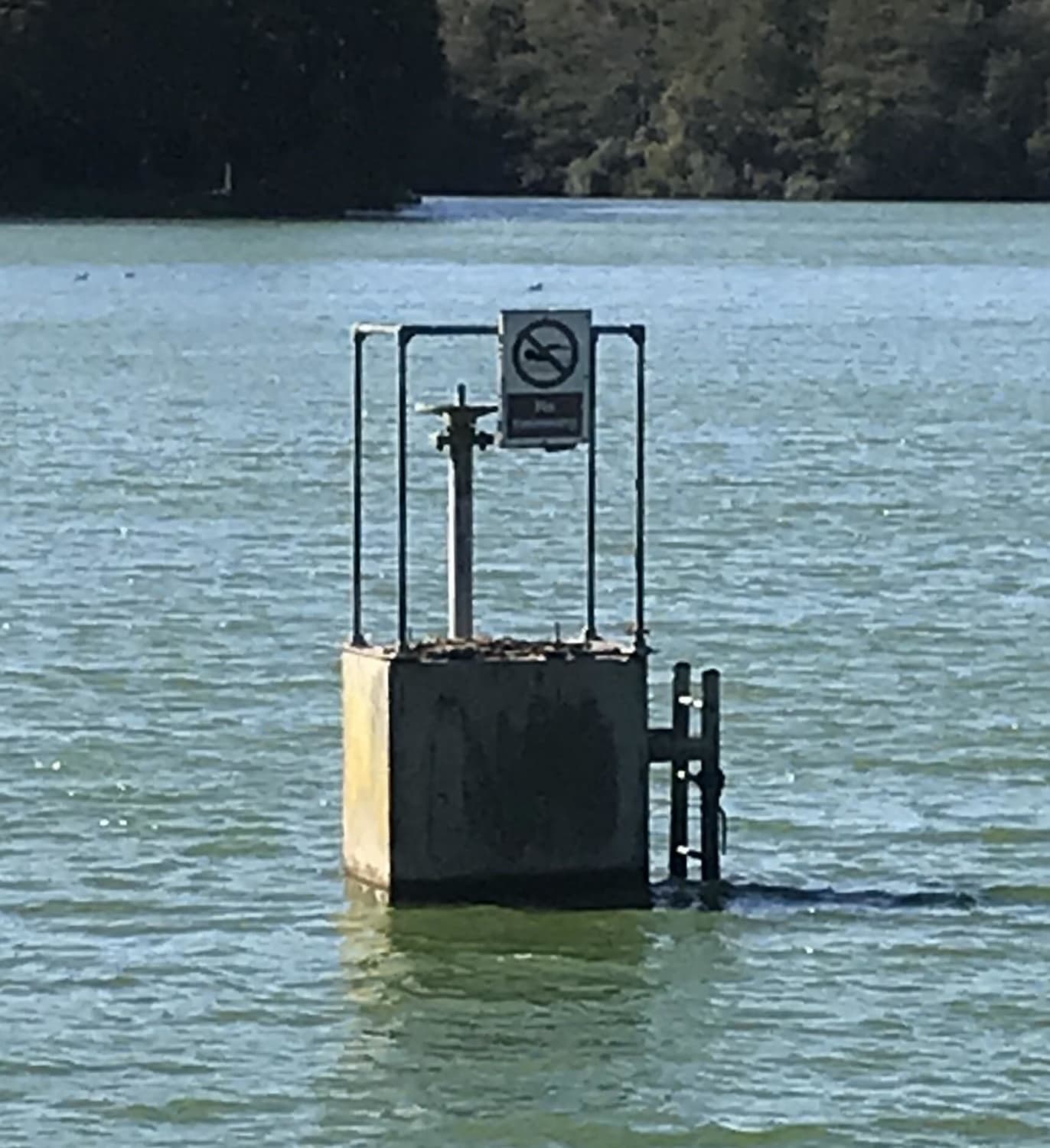 This valve in the middle of a lake with a no swimming sign