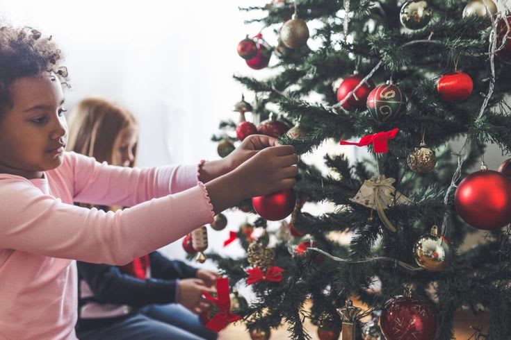 Rent living christmas tree